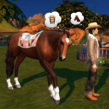 [Vie au ranch] Célian apprend à faire du cheval