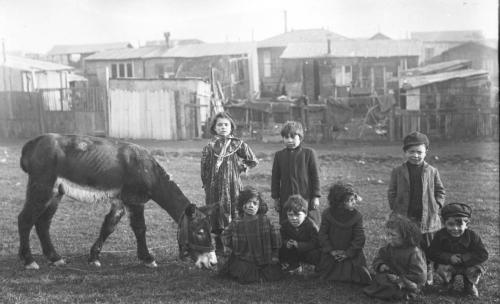 cliquer pour agrandir : janvier 1913, zoniers d'Ivry - un groupes d'enfants près des habitations avec un âne 