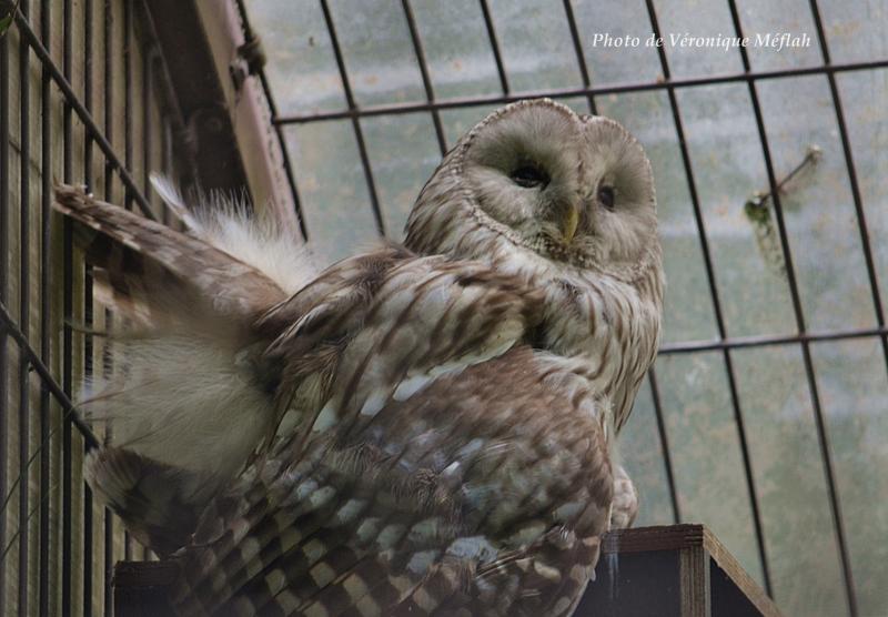La photo du weekend : Chouette c'est le weekend !