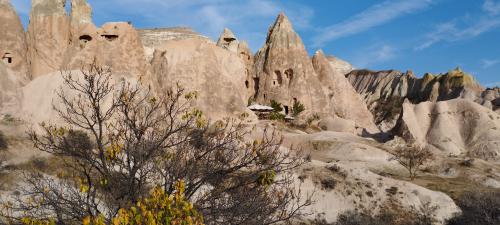 Retournons voir si la Rose...