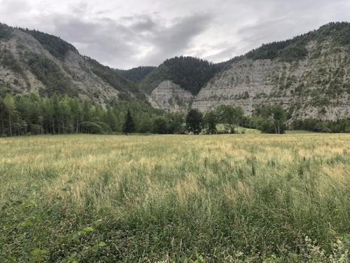 Le Villard (Selonnet)