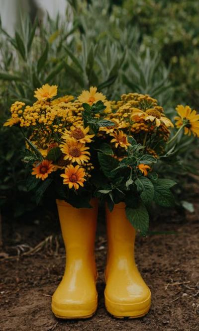 Belles images d'automne