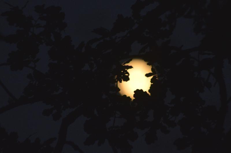 Connectivité avec la Lune