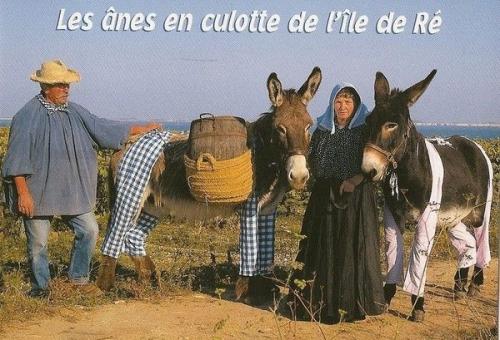 ╰⊱♥⊱╮ღ꧁   17 Charente Maritime  ꧂ღ╭⊱♥≺