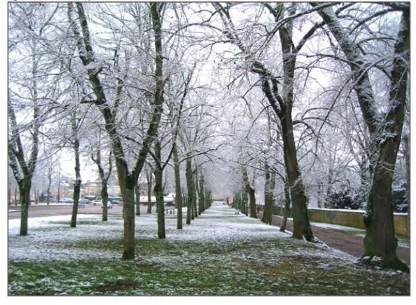 Pluie et neige à Châtillon sur Seine, de très belles photos de Dominique Masson