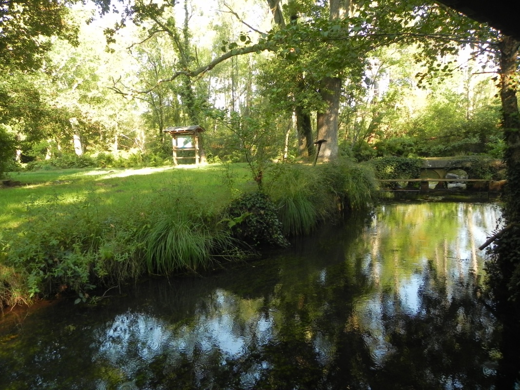Reflet à la Sourgue - Sanguinet
