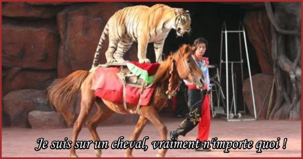 NOS CiRQUES