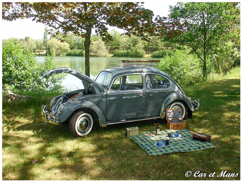 Les Habitants de mon Garage
