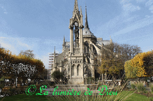 La cathédrale Notre-Dame de Paris