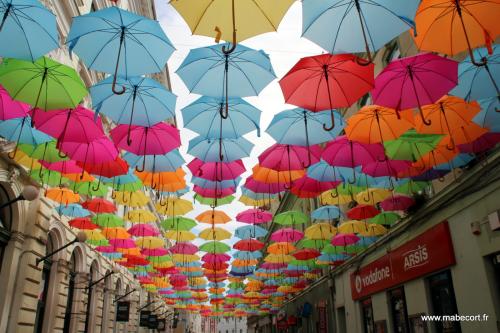 Lundi 10 au jeudi 13.06 + Bonus