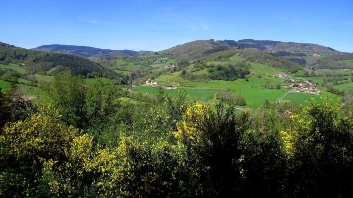 Département du Rhône