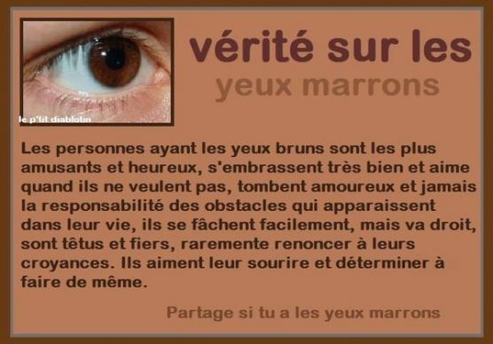 Qui Es-Tu ?.
