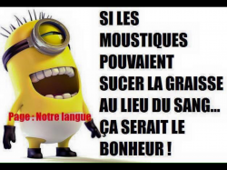 Encore un p'tit coup.