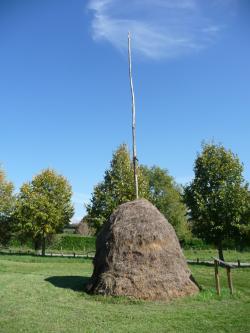 Lundi en une, deux, trois, quatre ( Ou plus ) photos 