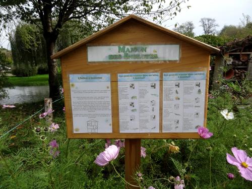 Quelques insectes de mon jardin vus cet été...