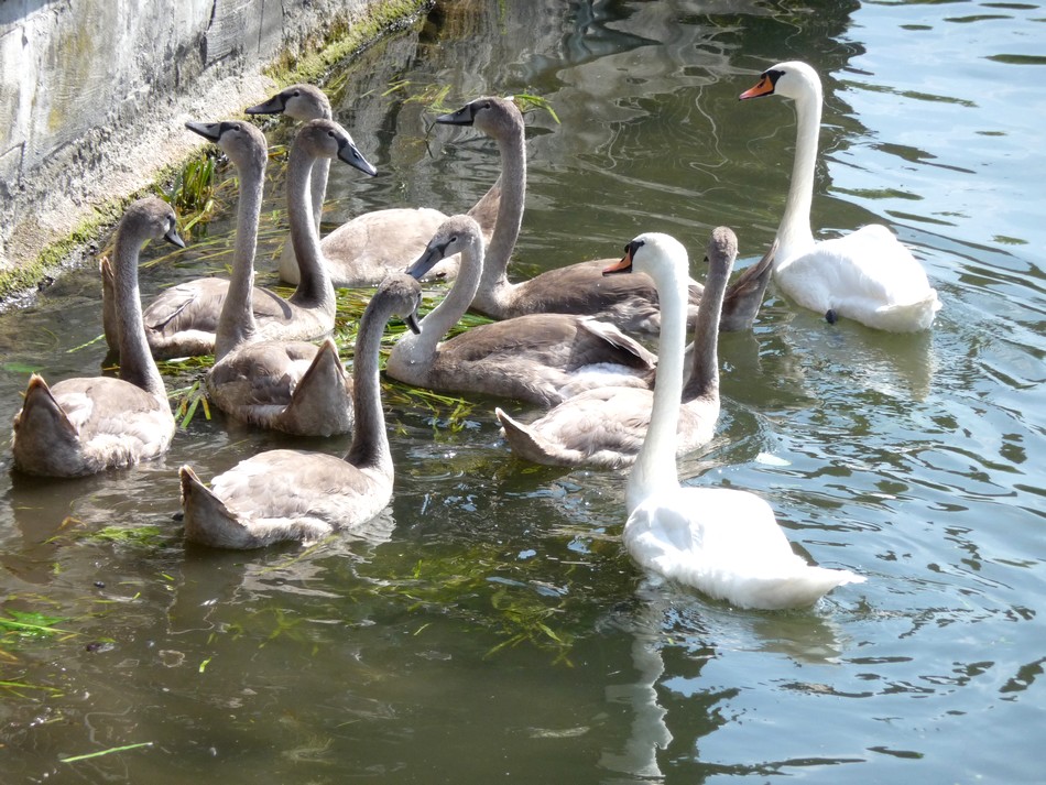 Amiens en surexposition naturelle