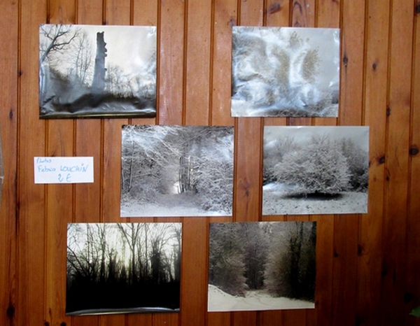 Une belle exposition sur "le bois dans tous ses états" à Aignay le Duc, a eu beaucoup de succès ...