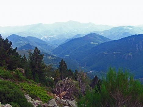 Sur les hauteurs d'une vallée âpre - Le Tour du Vallespir - Etape 2 : Batère - Saint-Guillem - 21 kms