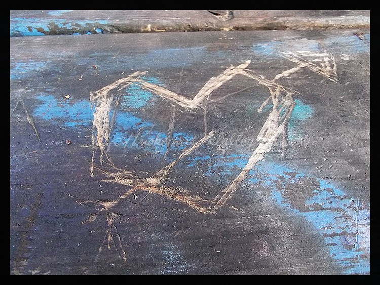 Tranches de vie d'un Australian Shepherd