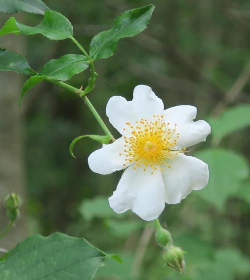 Randonnée "Au fil de l'eau" à NERS