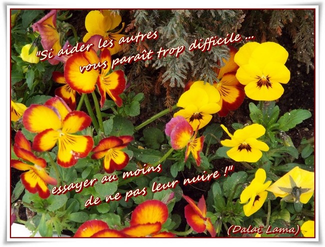 "Fleurette printanière" ...