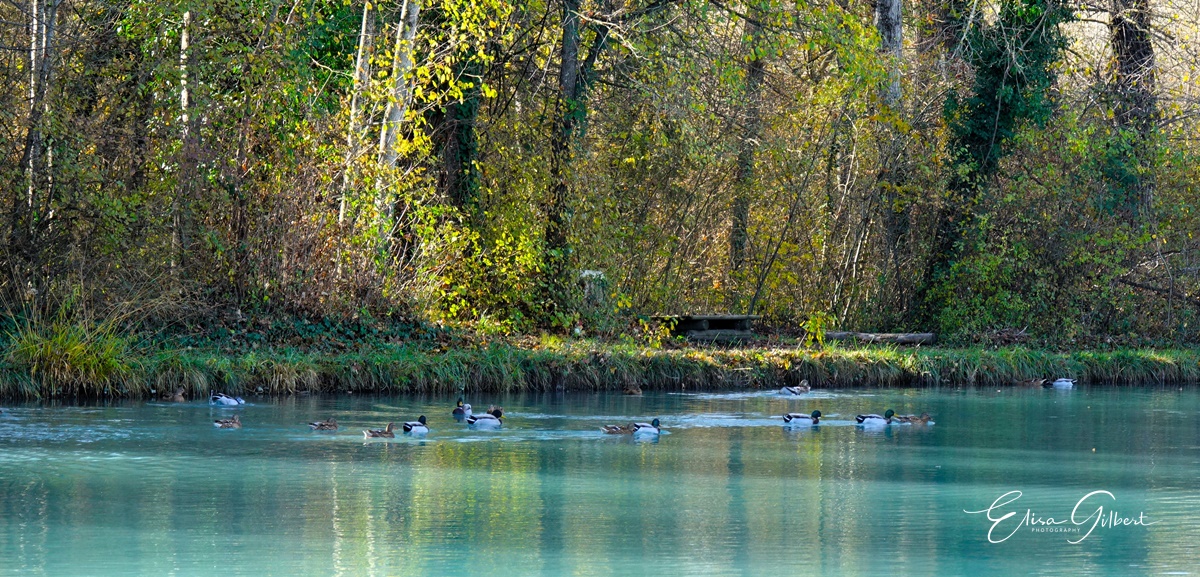 Le lac de Gaubert