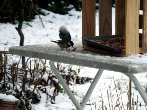 Le parc sous la neige