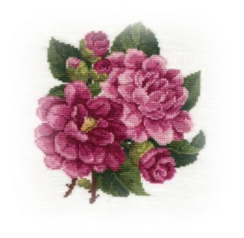 Pink Peonies fin