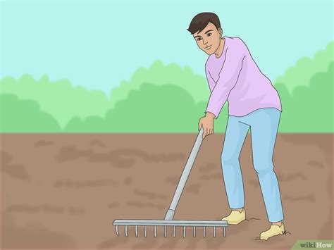 Comment lutter contre l'érosion des sols: 27 étapes