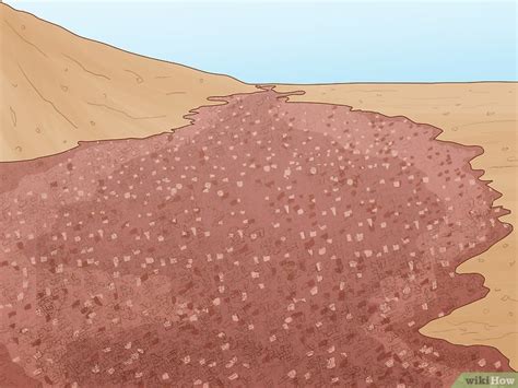 Comment lutter contre l'érosion des sols: 27 étapes