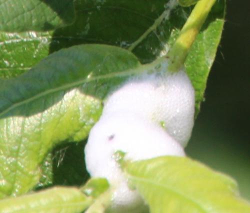 en balade au bord de l'Essonne