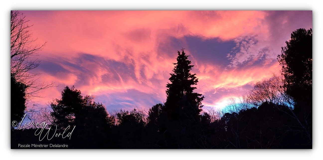 Loin de la folie du monde...