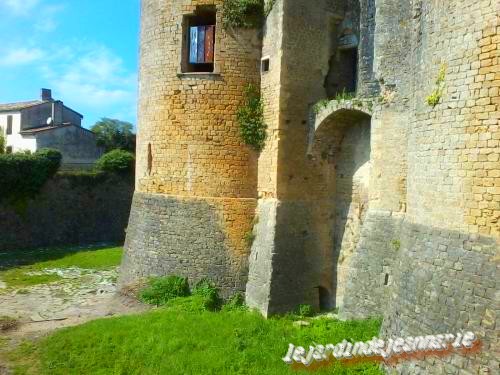 suite du château du pape Clement V a Villandraut (Gironde)