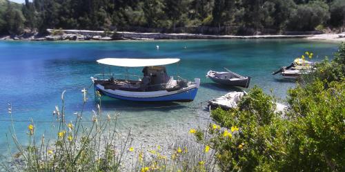GAIOS, les dernières images...