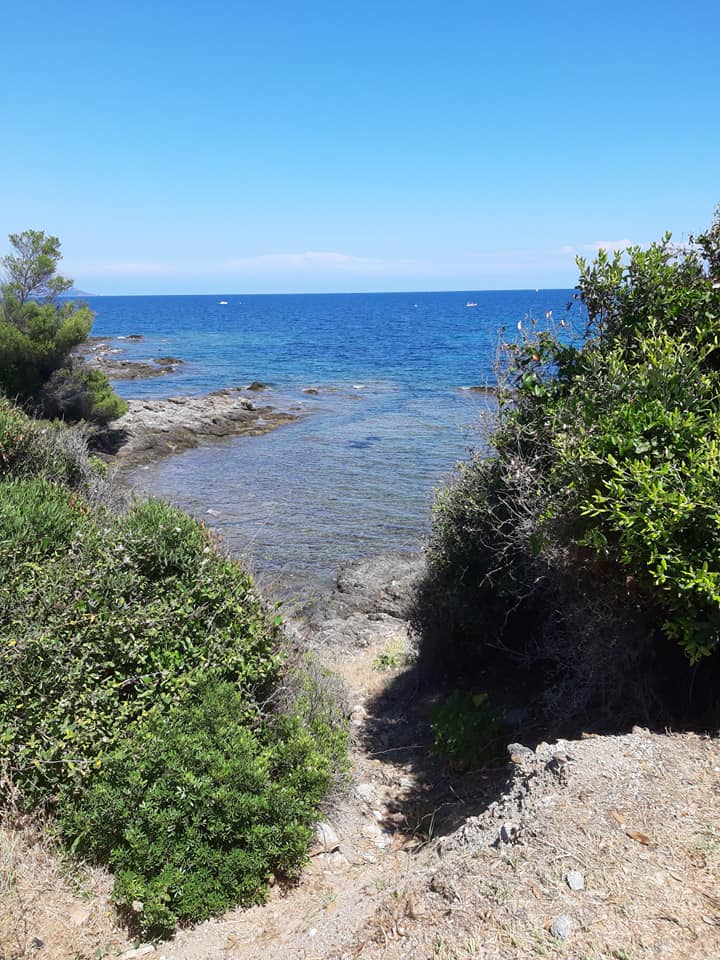 L'Esterel...(3)... A suivre