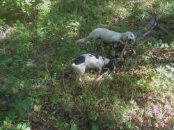 Rando automnale du 15 sept. 2015