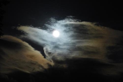 jau de lune :