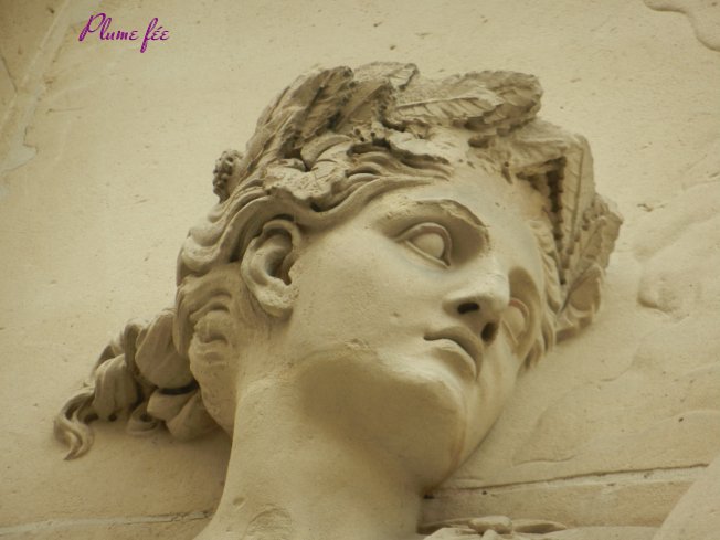 Image37.jpg