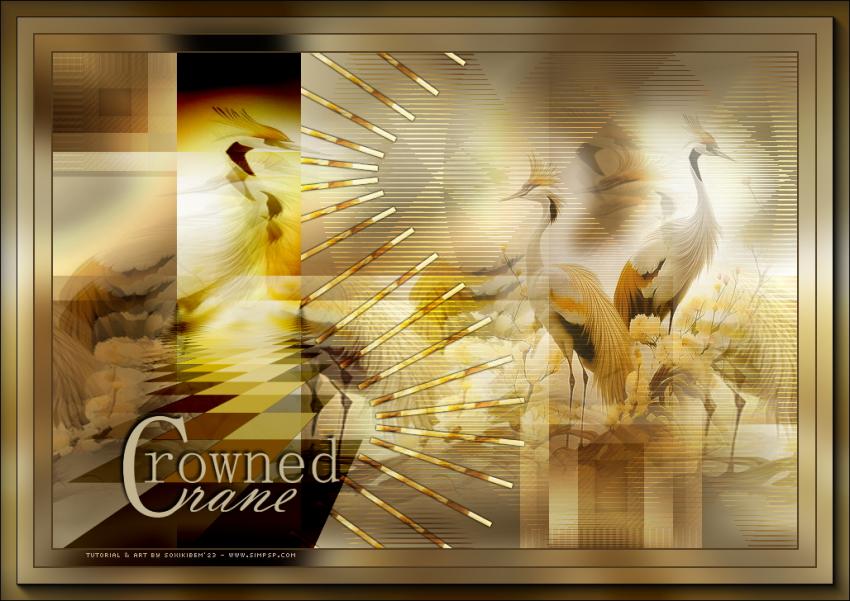 Crowned Crane - Grue couronnée