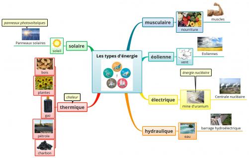 Reprise d'inclusion: ressources adaptées