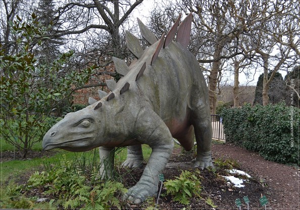 Tricératops Jardin des Plantes 1
