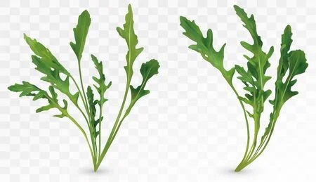 Légumpes du mois de Mai