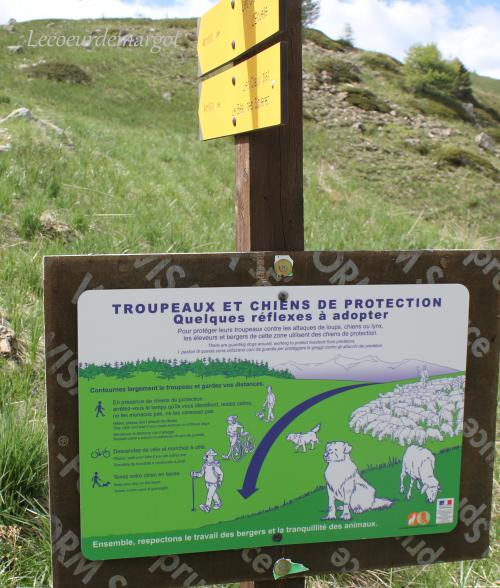 Col de Vars