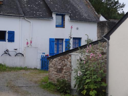 Des fleurs et des couleurs du coté de SaintSébastien (Piriac)