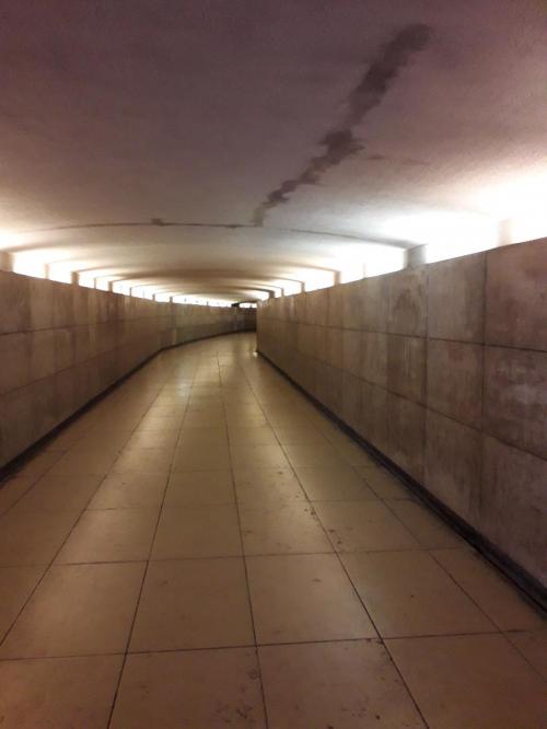 Balade sous l'arc de triomphe