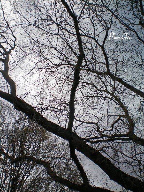 Image014.jpg