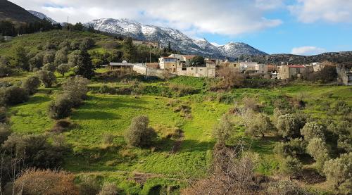 Le monastère de PALIANI
