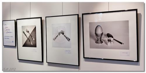 Exposition (X)