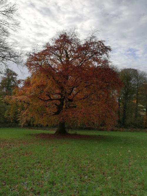 Photos de ce dimanche matin