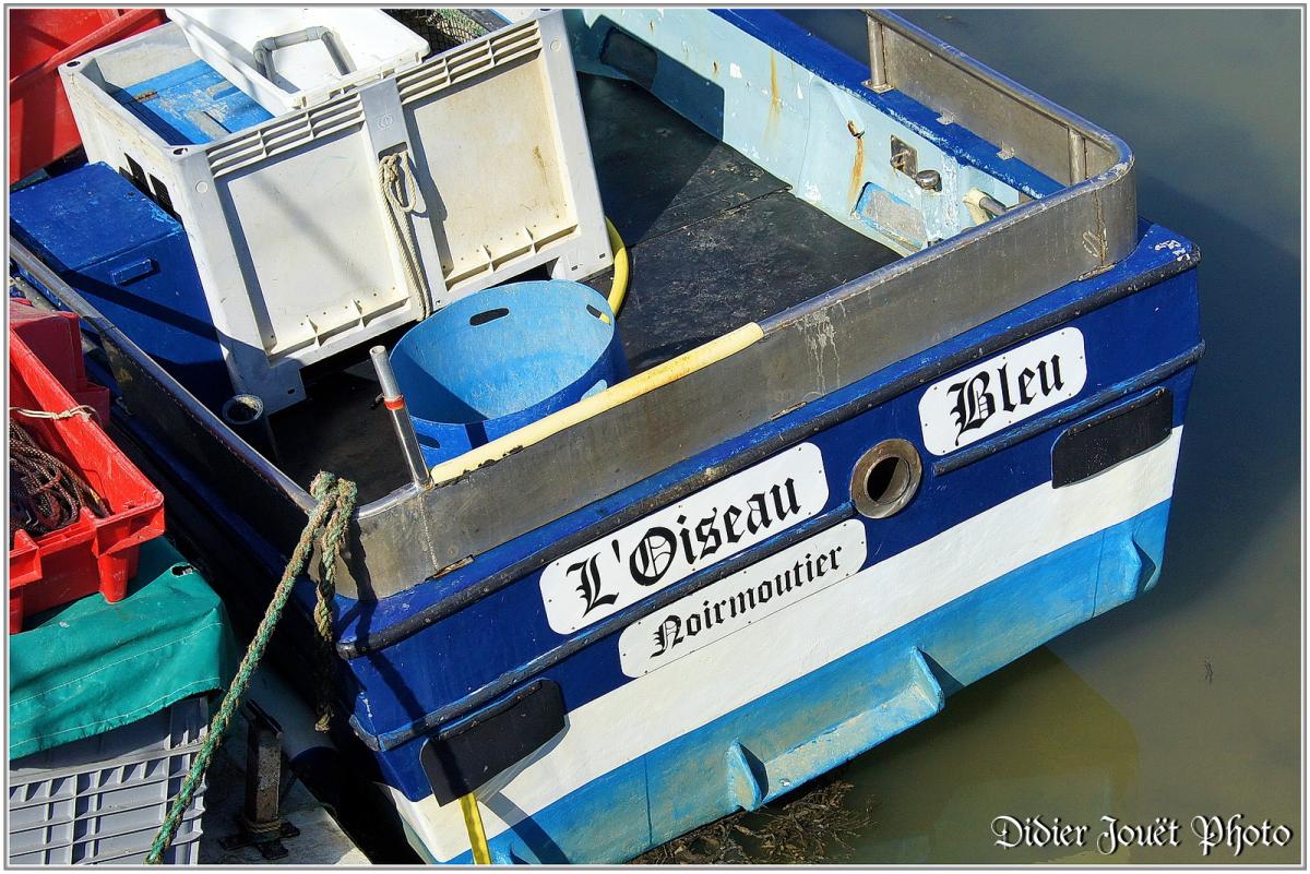(85) Vendée - Bouin (2) - Port les Brochets